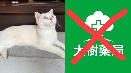 寵物用人藥爭議｜大樹藥局遭轟「吃相難看」抵制　急發3點聲明