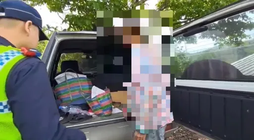 花蓮正值箭筍產季　2嫌開車上山竊筍被逮