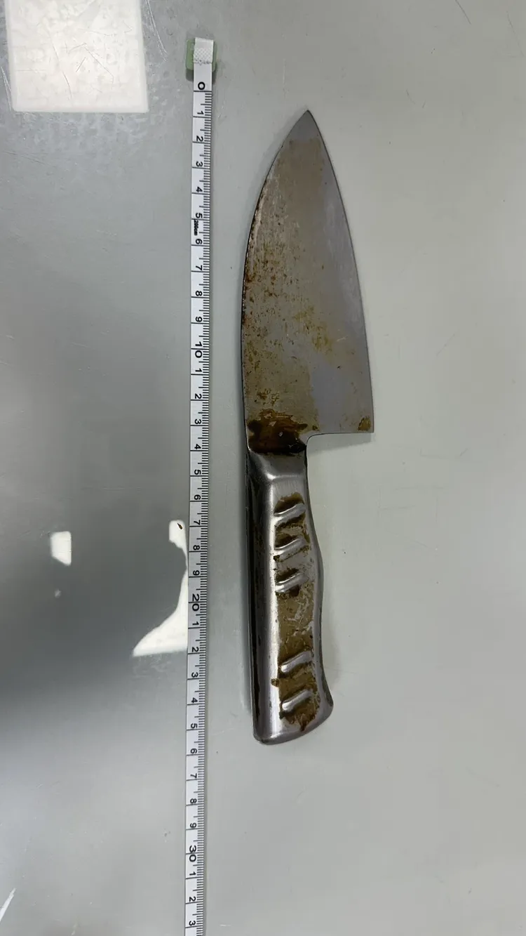 婦人持菜刀襲警。警方提供