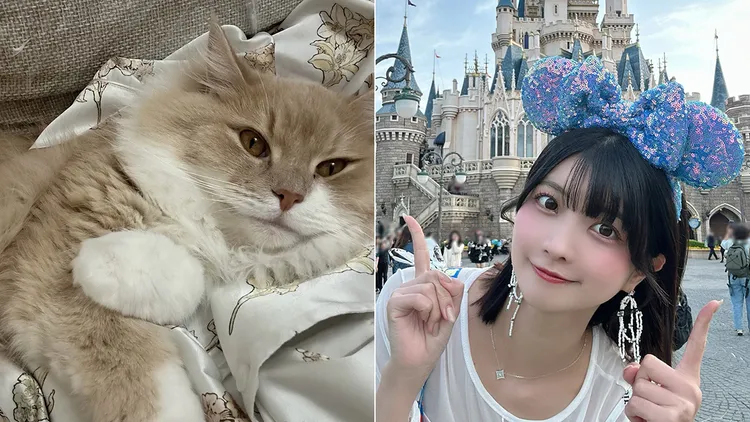 中山星香與她飼養的貓咪。翻攝自中山星香X