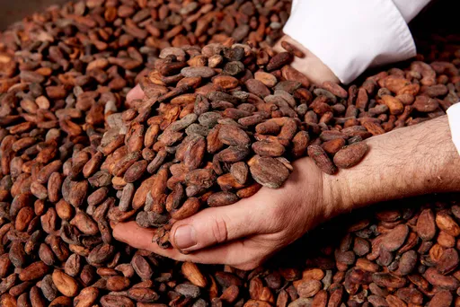 信義區蔬食秘境茶苑攜手「巧克力界LV」Weiss　全台首獻法式純素甜點