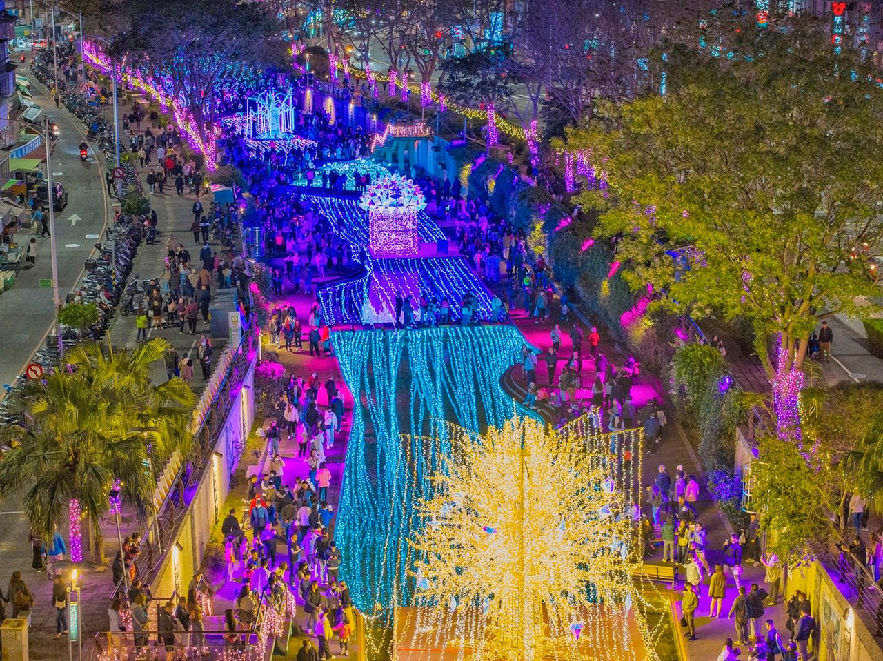 中港光雕圓滿落幕狂吸96萬人次 遊客盛讚宛如《阿凡達》夢幻星球降臨