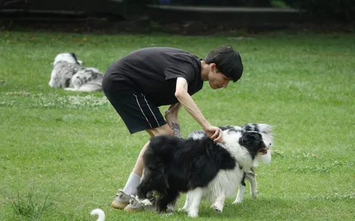 寵物用藥制度急踩剎車　農業部暫緩上路改研新方案