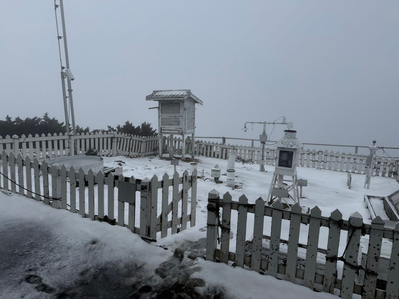 玉山下雪了!積雪達2公分 全台鋒面帶來強降雨