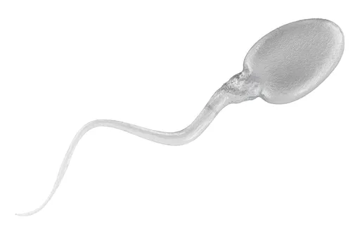 男性別輕忽！不孕恐藏致命警訊　「4癌上身」機率大增