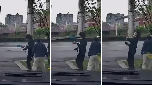 女行人走車道「被柵欄打臉」要植牙4顆　駕駛被求償怒反嗆