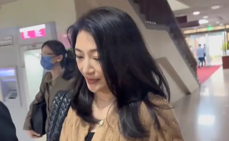 宏泰林鴻南妻王婉玲摑掌女律師不認罪　還曾嗆「打人巴掌可紓壓」　