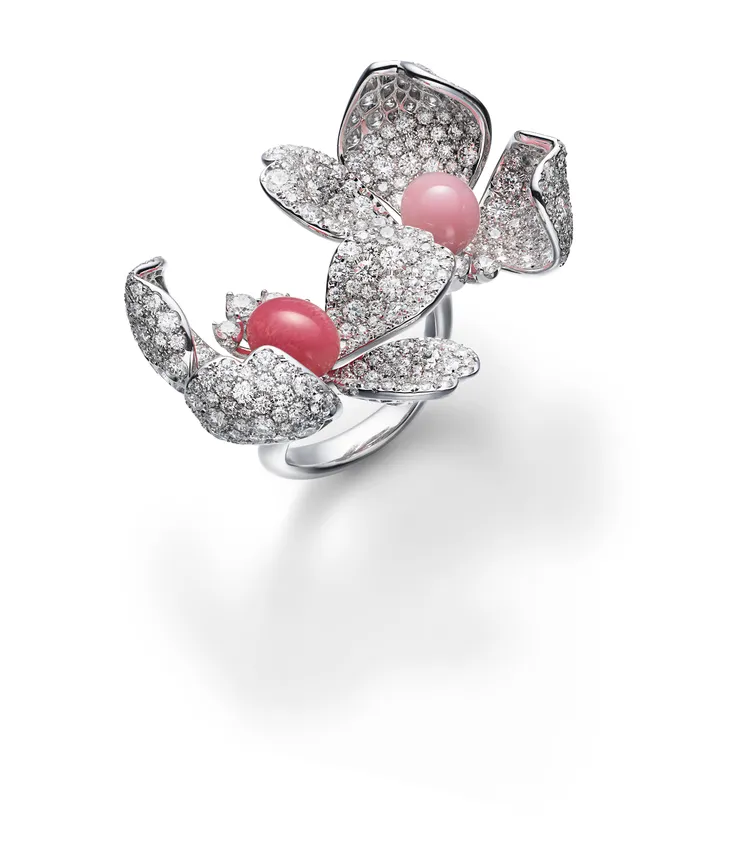 MIKIMOTO頂級珠寶系列Les Pétales孔克珍珠鑽戒。品牌提供