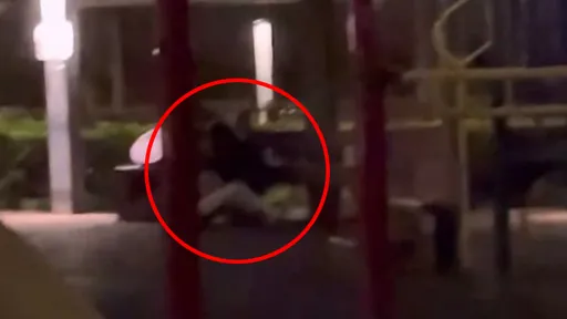 情侶活春宮竟挑公園兒童遊戲區　兩女路過直擊po網