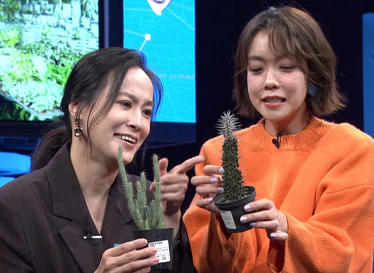 王以路（左）和大霈常把多肉植物養死。公視台語台提供