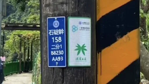 台電揭「電桿牌」指路密碼　山區迷途這樣跟著走