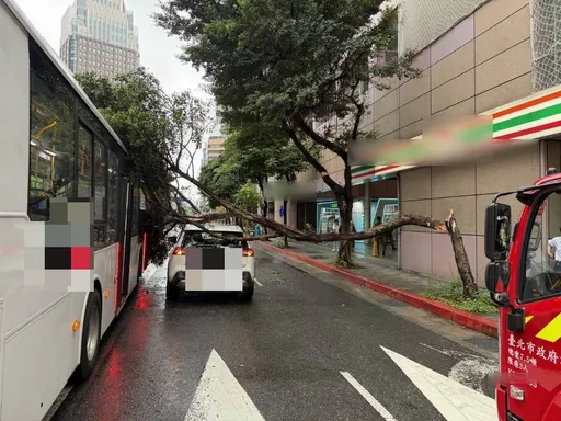 北市大貨車撞斷路樹砸無辜公車、小黃　肇事駕駛跑了！警掌握車號