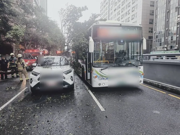 斷裂的路樹砸中公車。翻攝畫面