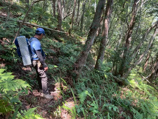 70歲婦攀瓦拉米步道失聯5天　警消不放棄持續搜救