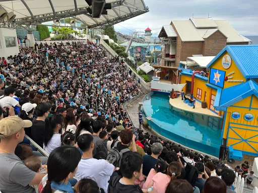 兒童節優惠買大送小　遠雄海洋公園3天湧入2萬遊客