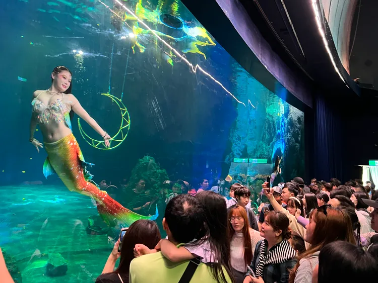 美人魚實境秀受到遊客喜愛。遠雄海洋公園提供
