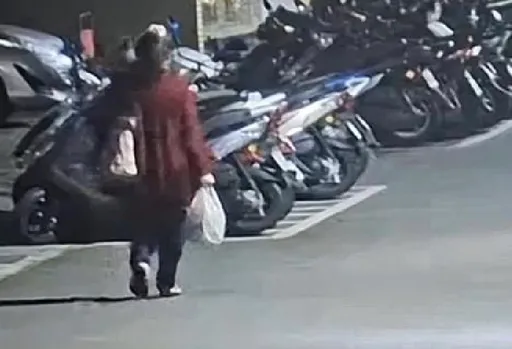 鎮店「招財豬公」遭竊！女賊揹在身邊購物邊挖錢　闖紅燈露餡遭警逮