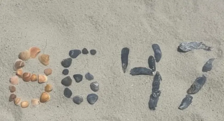 FBI前局長在社群平台貼文有8647數字的照片。翻攝Instagram@JamesComey