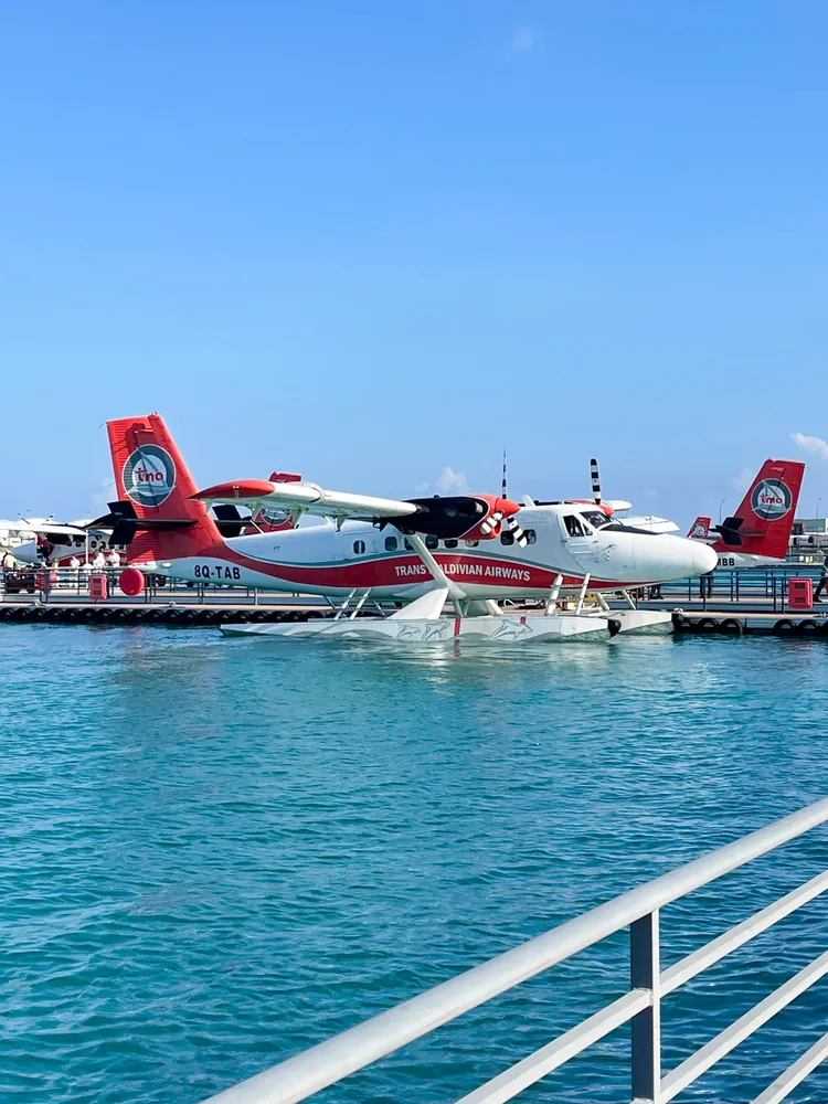 他們在馬爾地夫搭水上飛機。