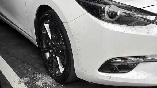 清明掃墓變「傷車日」灰燼泥沙如砂紙　DIY三步驟守住車漆還能省萬元