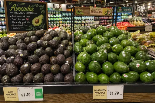 何時吃、怎麼挑？酪梨不再難懂　你只要看這篇就夠了