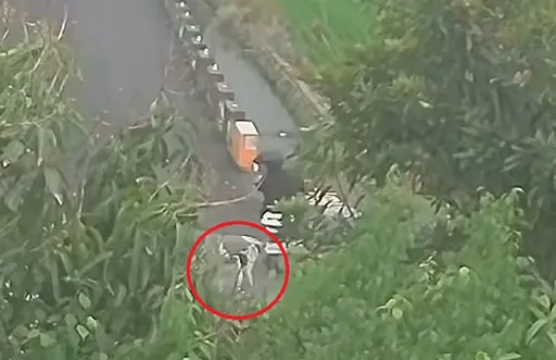 彰化又傳狗傷人！國中生騎車遭3犬追咬　連人帶車慘摔水溝受傷