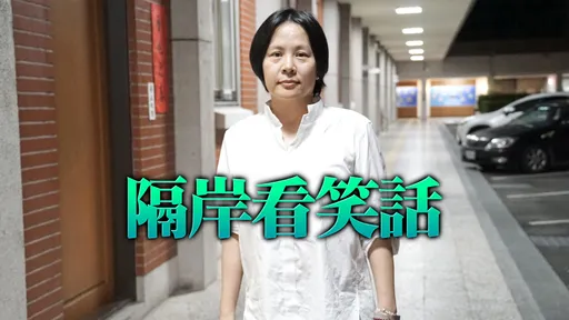 媒體人神翻譯「李貞秀開除原因」　她笑：被仙人跳