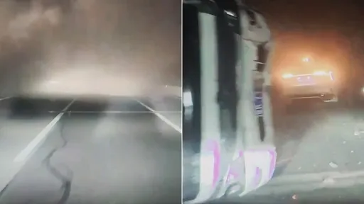 濃霧車禍「特斯拉神閃避」平安脫身　強or蠢？影片引兩極爭論