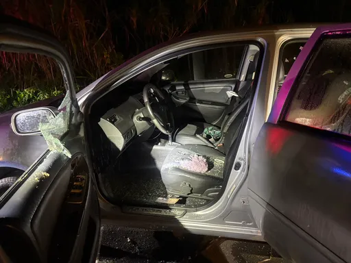 科技偵查建功！三峽連砸3車偷財物　竊賊失手「血跡」敗露遭逮