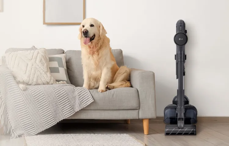 LG CordZero A9K+濕拖無線吸塵器具220W強勁吸力、雙旋濕拖設計，可同步乾濕清潔並快速清理髒汙。LG提供