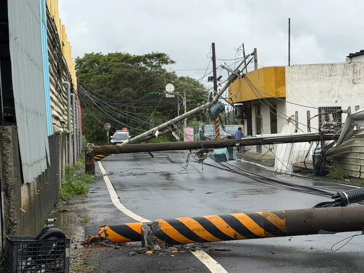 現場9根電桿斷裂倒塌。楊梅警分局提供