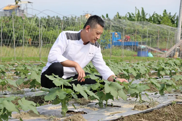 SEEDS 大地義式餐廳更率先引入「生化菌廚餘處理機」，將後場餘料轉化為有機肥料後回饋農場，促成從土地到餐桌的「零廢棄」循環。業者提供