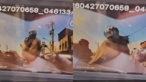 肇事女大生視角影片曝！女警靜止被撞噴出去　下一秒遊覽車輾過