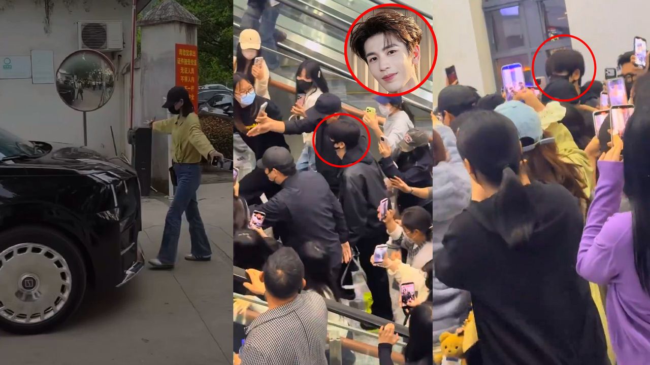 張凌赫喊告!受不了狂粉攔車、高鐵站亂演動物大遷徙