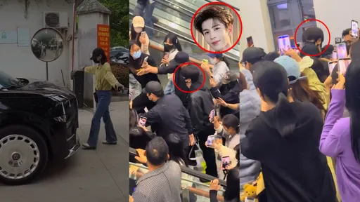 張凌赫喊告！受不了狂粉攔車、高鐵站亂演動物大遷徙