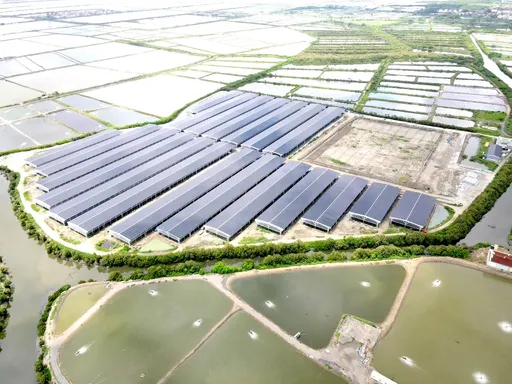 麗升Q1營收年增197%創7季新高　綠電與EPC成動能