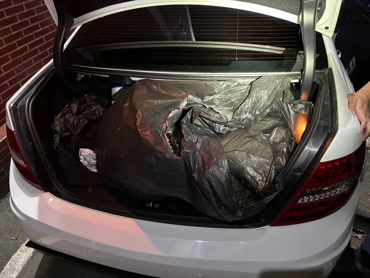 行李箱搜出毒菸。保大提供