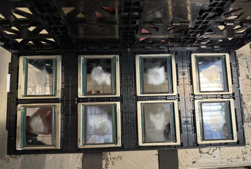 海關查492萬件仿冒品破9億　連輝達晶片也造假