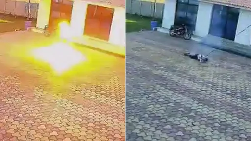 影片｜飯店員工長桿驅猴　結果自己「電成火球」當場斃命