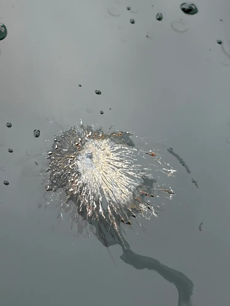 林女以為是彈孔，實際上為鳥屎。翻攝畫面