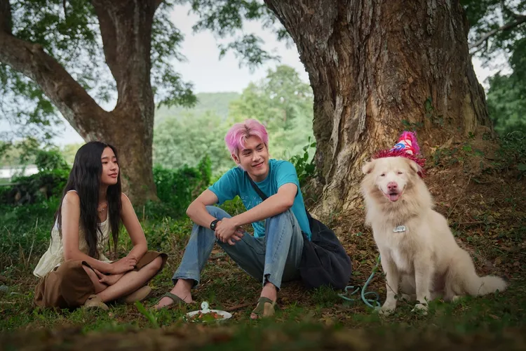 新片揭開了主角狗狗「悟飯」長達10年的生命旅程。龍祥電影提供