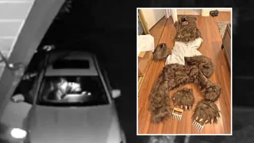 誇張！他扮熊毀豪車詐保450萬　3男女下場曝光