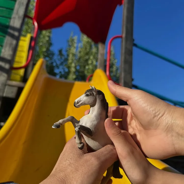 湯唯曬小馬照。翻攝湯唯IG