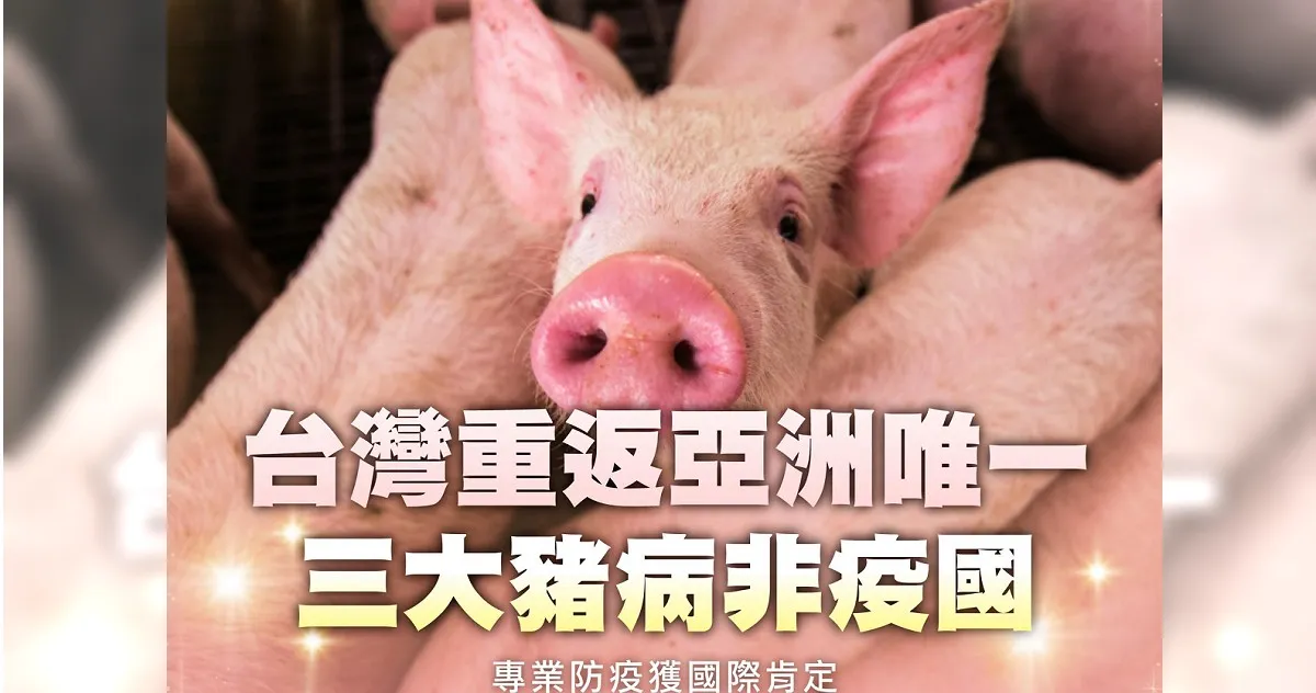 台灣重返亞洲唯一三大豬病非疫國！賴清德說話了