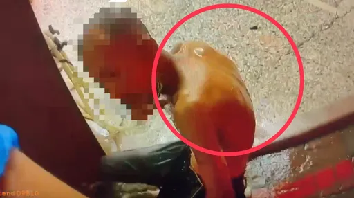 台南遊民把高壓電箱當「置物櫃」...觸電送醫沒事　一旁國小上午大停電　