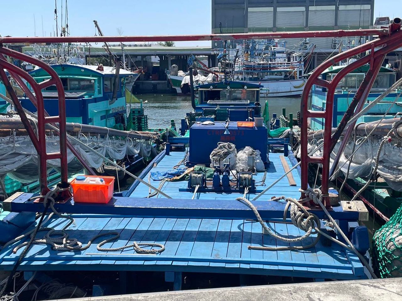 小貓浸豬籠淹死?虐貓影片瘋傳 高雄動保處約談到案移送法辦