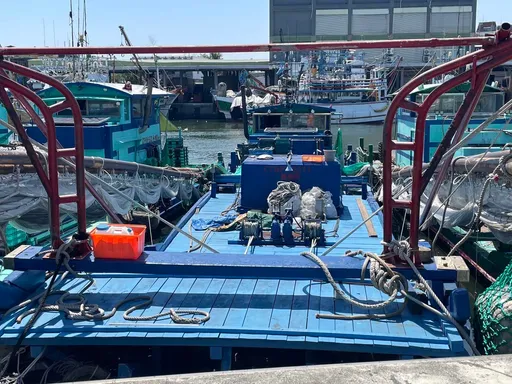 小貓浸豬籠淹死？虐貓影片瘋傳　高雄動保處約談到案移送法辦