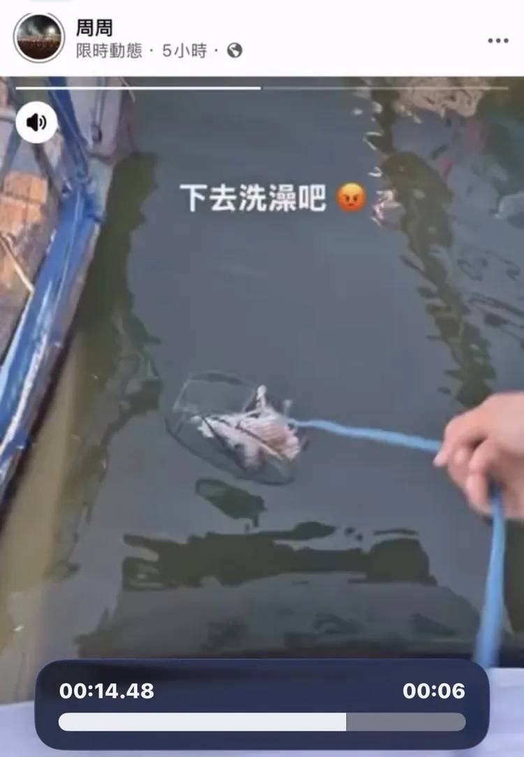 網路流傳虐貓影片。翻攝畫面