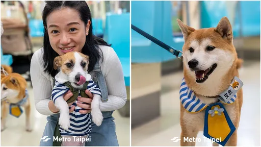 北捷開放「寵物友善」狗狗列車　畫面萌翻！全網狂讚可愛
