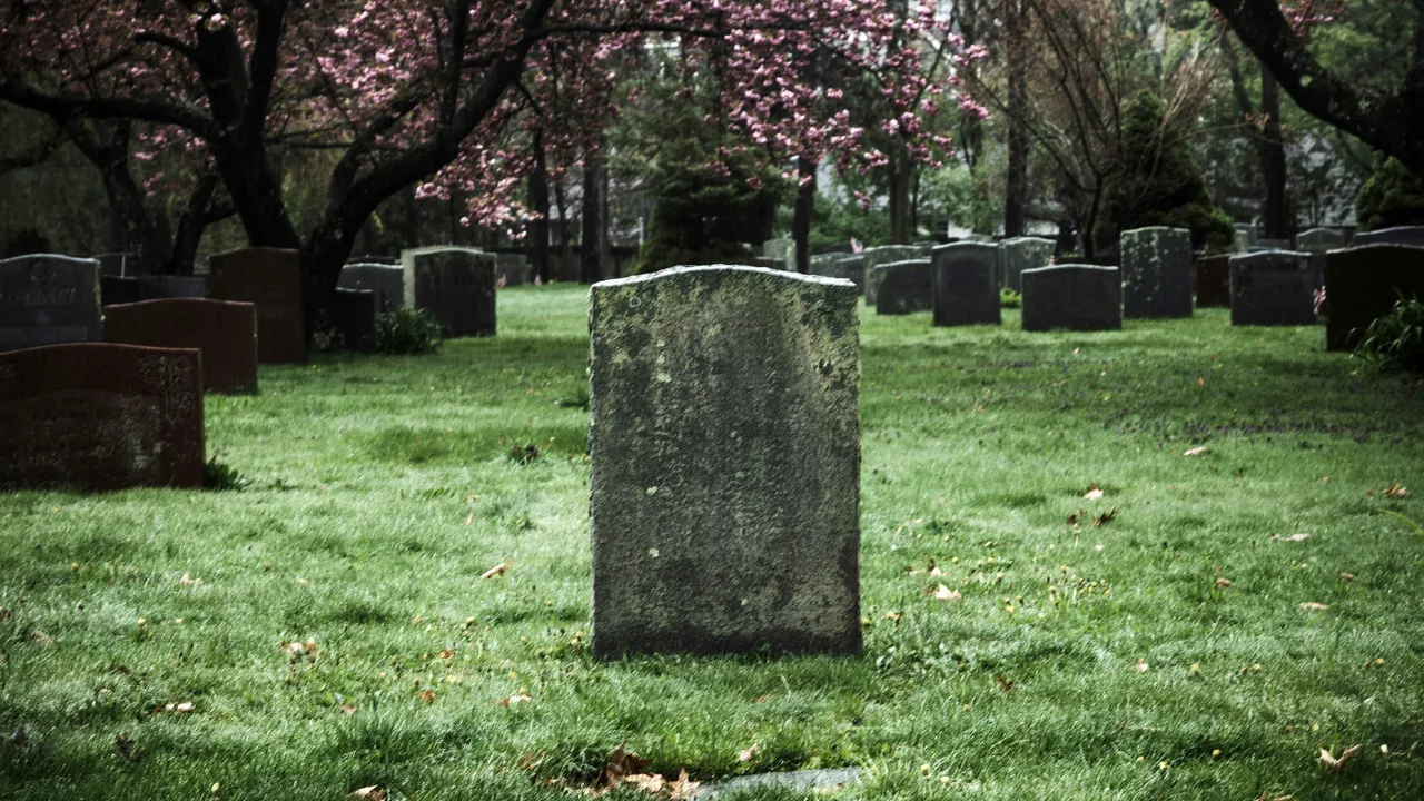 兄妹清明祭祖「媽媽墳墓整座不見了」　原址土裡變成陌生人